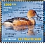 Fulvous Whistling Duck Dendrocygna bicolor  2023 Biodiversity, birds Sheet
