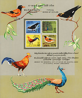 Southern Hill Myna Gracula indica  1966 Birds of Ceylon Sheet, imp