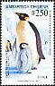Emperor Penguin Aptenodytes forsteri  1992 Emperor Penguin p 13Â¼x13Â½