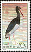 Black Stork Ciconia nigra  1992 Storks 