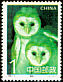 Eastern Grass Owl Tyto longimembris  1995 Owls 