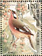 Snowy-cheeked Laughingthrush Ianthocincla sukatschewi  2008 Birds Sheet
