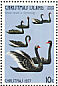 Black Swan Cygnus atratus  1977 Christmas 12v sheet, no wmk
