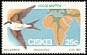 Western House Martin Delichon urbicum  1984 Migratory birds 