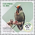 Rainbow-bearded Thornbill Chalcostigma herrani  2023 Ornithological Society of Caldas, 70 years Sheet