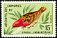 Comoro Fody Foudia eminentissima  1967 Birds 