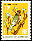 Comoro Olive Pigeon Columba pollenii  1971 Birds 