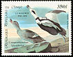 Labrador Duck Camptorhynchus labradorius â€   1985 Audubon 