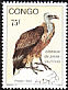 RÃ¼ppell's Vulture Gyps rueppelli  1993 Birds of prey 