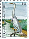 Great Egret Ardea alba  2001 Herons and storks 
