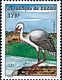 White Stork Ciconia ciconia  2001 Herons and storks 