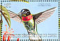 Gould's Inca Coeligena inca  2000 Hummingbirds  MS