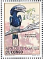 White-thighed Hornbill Bycanistes albotibialis