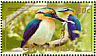 Mewing Kingfisher Todiramphus ruficollaris  2007 Wildlife 