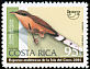 Cocos Cuckoo Coccyzus ferrugineus  2001 America 