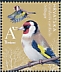European Goldfinch Carduelis carduelis  2022 Birdpex 