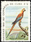 Cuban Macaw Ara tricolor â€   1961 Christmas 