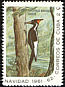 Ivory-billed Woodpecker Campephilus principalis  1961 Christmas 