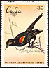 Red-shouldered Blackbird Agelaius assimilis  1969 Swamp fauna, Cienaga de Zapata 7v set