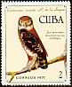 Cuban Pygmy Owl Glaucidium siju  1971 Ramon de la Sagra 