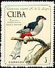 Cuban Trogon Priotelus temnurus  1971 Ramon de la Sagra 