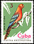 Cuban Macaw Ara tricolor â€   1974 Extinct birds 