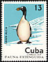 Great Auk Pinguinus impennis â€   1974 Extinct birds 