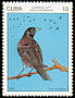 Cuban Blackbird Ptiloxena atroviolacea  1977 Endemic birds 