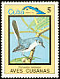 Cuban Gnatcatcher Polioptila lembeyei  1983 Birds 