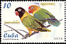Yellow-collared Lovebird Agapornis personatus  2005 Parrots 