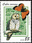 Ural Owl Strix uralensis  2008 Owls and butterflies 