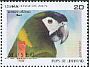Golden-collared Macaw Primolius auricollis  2009 MUSEO 