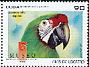 Military Macaw Ara militaris  2009 MUSEO 