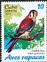 American Kestrel Falco sparverius  2017 Birds of prey 