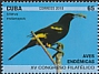 Cuban Oriole Icterus melanopsis  2018 Endemic birds 