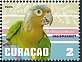 Brown-throated Parakeet Eupsittula pertinax  2023 Birds 