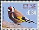 European Goldfinch Carduelis carduelis  2018 Birds of Cyprus 