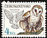 Western Barn Owl Tyto alba  1986 Owls 
