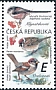 Long-tailed Tit Aegithalos caudatus  2020 Songbirds 