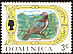 Scaly-naped Pigeon Patagioenas squamosa  1969 Definitives 