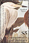 Reddish Egret Egretta rufescens  1985 Audubon  MS