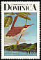 Brown Trembler Cinclocerthia ruficauda  1987 Birds of Dominica p 15