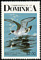 Black-capped Petrel Pterodroma hasitata  1987 Birds of Dominica p 15