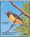 Hispaniolan Euphonia Chlorophonia musica  1988 Dominica rain forest 20v sheet