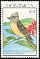 Lesser Antillean Pewee Contopus latirostris  1990 Birds 