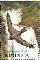 American Black Swift Cypseloides niger  1993 Birds Sheet