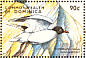 Franklin's Gull Leucophaeus pipixcan  1998 Seabirds of the world Sheet