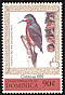 Puerto Rican Woodpecker Melanerpes portoricensis  1999 Christmas 