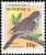 Palmchat Dulus dominicus  2001 Bird definitives 