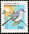 Blue-grey Gnatcatcher Polioptila caerulea  2001 Bird definitives 
